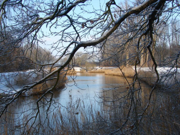 Kerst Wandelcafé Oirschot & dal van de Beerze & Heilige Eik. Wandelen Singles 40+ 50+ 60+
