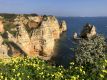 Voorjaarszon & wandelreis Algarve.