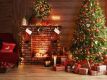 Kerstweekend met singles op de Veluwe.