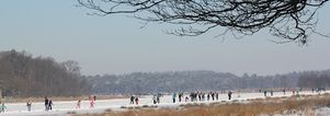 Winter Wandelcafé Leersumse Veld. Vennen, heide, bos. Singles 40+50+60+