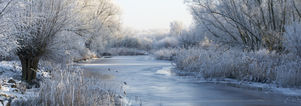 Valentijn Wandelcafé Hollandse Biesbosch. Dordrecht. Wandelen singles 40+ 50+ 60+