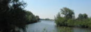 Wandelcafé Hollandse Biesbosch. Dordrecht. Wandelen singles 40+ 50+ 60+