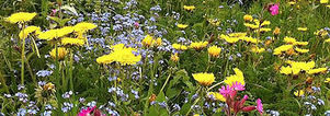 Zomerweek Zwitserland: Yoga/ Tai Chi/ Massage/ HSP/ Relaties & Wandelen. 7 dgn