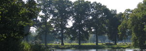 Wandelcafé Gemonde & Dommel. Wandelen singles 40+50+60+. Nieuw!