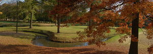 Wandelcafé Oostelbeers. Landgoed de Beast. Singles 40+50+60+