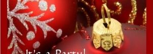 Kerstdiner & Singleparty  Ermelo. Eerste Kerstdag. Feest singles 40+ 50+ 60+.