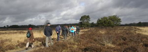 Wandelcafé Vierhouten - Veluwe. Wandelen singles 40+50+60+