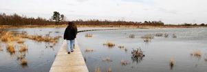 Singles Wandelcafé De Moer/ Tilburg, landgoed Huis ter Heide.
