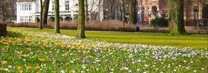 Wandelcafé Den Bosch. Landgoed De Pettelaar. SIngles 40+50+60+