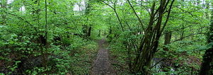 Pasen. Wandelcafé bij Boxtel. De Geelders. Wandelen singles 40+ 50+ 60+