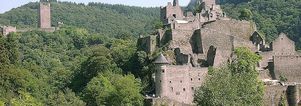 Wandelvakantie Eifel. Singles 35+