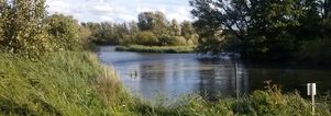 Wandelcafé Nootdorp, Biespolder. Wandelen singles 40+50+60+