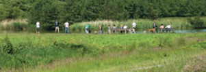 Singles Wandelcafé Rotterdam Hoge en Lage Bergsche Bos