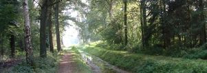 Wandelcafé Oirschot. De Mortelen. Wandelen singles 40+ 50+ 60+