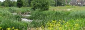 Single Events Wandeling Dal van de Beerze