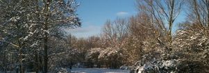 SE 1e Kerstdag Singles wandeling & lunch/1 nacht Apeldoorn. Kerst singles 45+55+