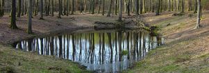 SE Wandelcafe Garderen. Veluwe. Wandelen singles 40+50+60+