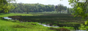 Wandelcafe Renkums Beekdal & beeldentuin &muziek. Wandelen Singles 40+50+60+.