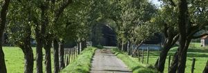 SE Wandelcafe  Leusden Achterveld. Wandelen Gelderse Vallei met singles