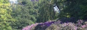 SE Wandelcafe Driebergen Landgoederen &  Slot Zeist met beeldenroute!