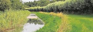 SE Wandelen Landgoed Voorstonden Brummen met singles & lunch Eerbeek.