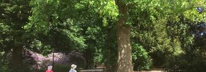 Wandelen singles Slot Zeist, beelden & Landgoederen e/o hapje eten Driebergen
