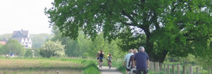 Fietstocht, diner & gezellige avond met singles in Arcen Noord-Limburg.