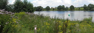 Wandelen, diner & gezellige avond Arcen N-Limburg. Singles 45+55+65+