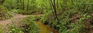 SE Wandelen singles Driebergen Landgoed Sparrendaal.