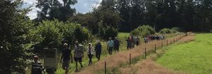 SE Wandelen Landgoed Voorstonden Brummen GAAT DOOR met singles & lunch Eerbeek.