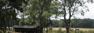 Wandeling Arcen Landgoed de Hamert & Lunch. Heide, duinen en bossen.