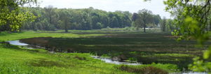 SE Wandelcafe Renkums Beekdal & beelden. NIEUW. Singles 45+55+65+