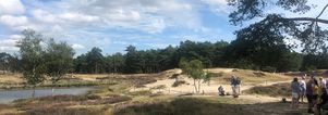 Wandelcafe Driebergen Heidestein. Singles 45+55+