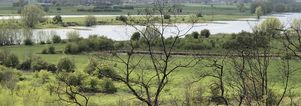 SE Wandelcafe Wageningen GAAT NIET DOOR. arboretum & uiterwaarden. Singles 45+55+65+