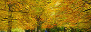 31 okt. SE Wandelcafe Maarnse berg en Zanderij. NIEUWE route. Wandelen singles 45+ 55+