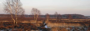 SE Wandelcafe Ede Ginkel & lammetjes! NIEUW Met singles 45+55+65+