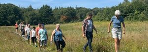 Najaar in het Land van de Peel. Wandelen, dansen, gezelligheid.