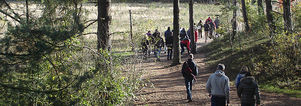 Wandelcafé Soester Duinen. Walk & Meet Singles 35+