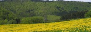 Pinksteren single weekend Sauerland