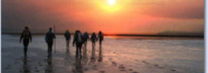 Wadlopen naar Ameland. City Mates
