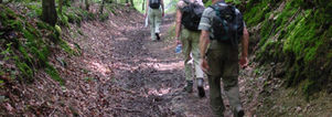 Wandelen weekend singles Ardennen