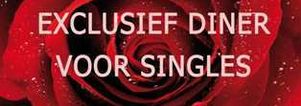 Single Diner en lezing 'De perfecte minares