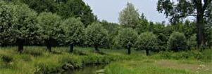 Wandelcafé Eindhoven Genneperparken. Singles 35+