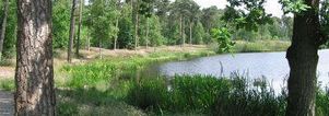 Wandelcafé Oisterwijkse Vennen.