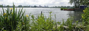 Wandelcafé Rotterdam Kralingse Plas. Singles 35+