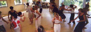 Biodanza & swingfeest voor singles, Arnhem