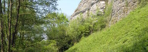 Ardennen weekendje weg. Wandelen of Outdoor! Singles 35+.