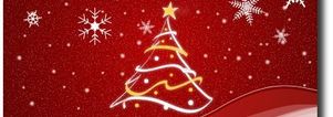 Kerstfeest & weekend Apeldoorn. Singles 35+