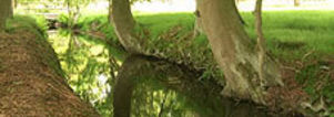 Wandelcafé Ugchelen. Sprengen, heide en herfstbos!