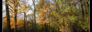 Wandelcafé Rotterdam Kralingse Plas. Singles 35+